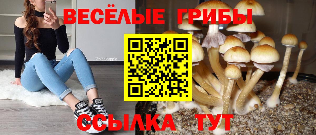 Псилоцибиновые грибы Magic Shrooms  Вход с VPN  Ступино 
